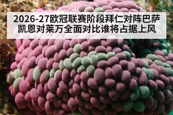 2026-27欧冠联赛阶段拜仁对阵巴萨凯恩对莱万全面对比谁将占据上风